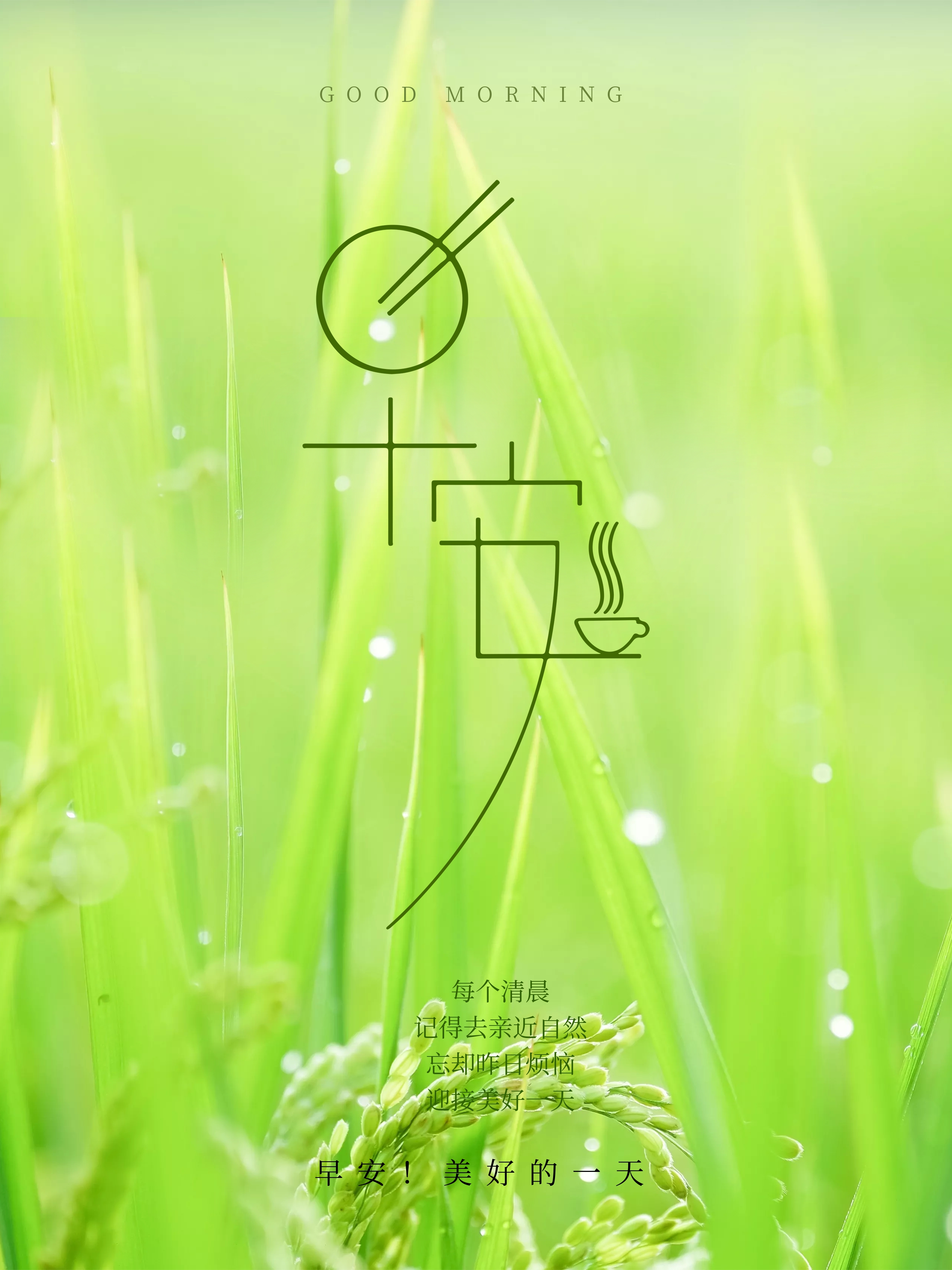 美丽的