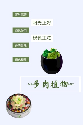 多肉植物公众号封面图模版