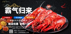 霸气归来海报