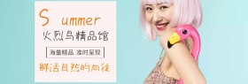 精品通用火烈鸟手绘粉蓝banner