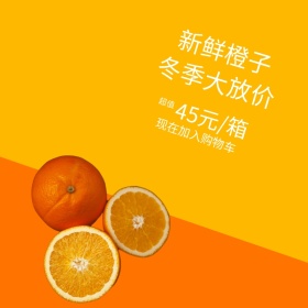 冬季特价时尚小清新橙子水果主图模板