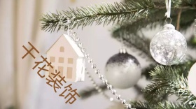 干花红包公众号封面