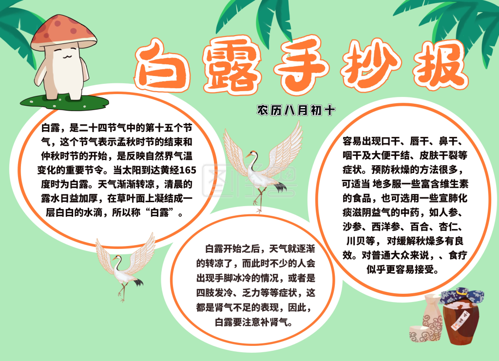 白露节气简介手抄报