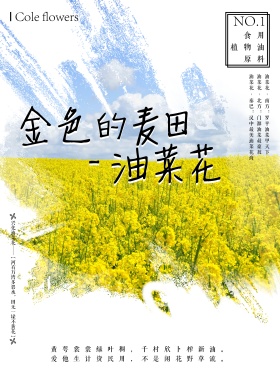 金色的麦田油菜花海报psd下载