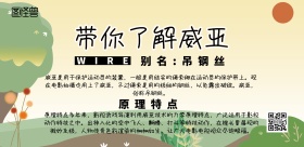 威亚图威压简约宣传印刷横版海报