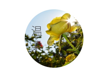 温柔花束复古文艺清新背景图