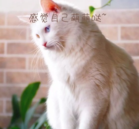 朋友圈背景