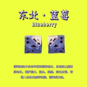 东北东三省蓝莓养生美食特产清新公众号配图