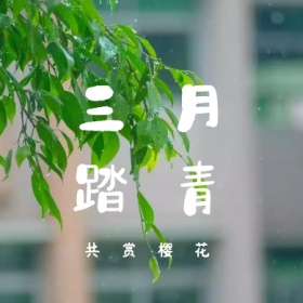 三月 踏青 共赏樱花 三月你好公众号封面小图