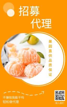 招募 代理 加入我们 轻松做代理 不赚钱我能干吗 果园直供品质保证 水果招募代理简约手机海报