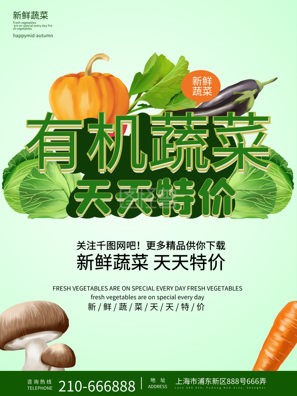 有机蔬菜海报天天特价