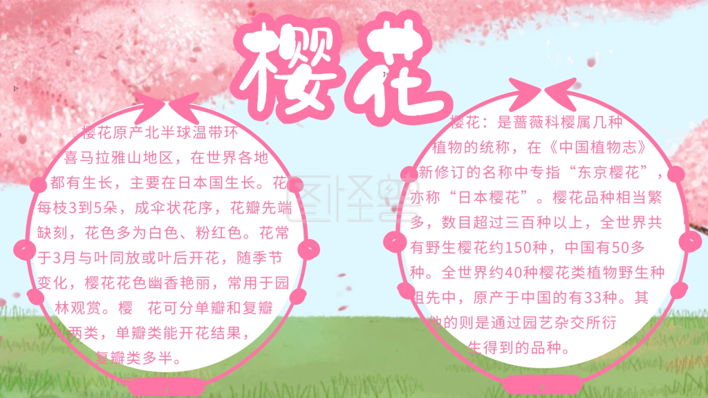 樱花小报花朵简约