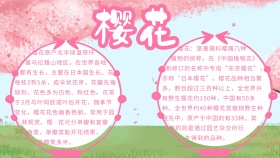 樱花 小报花朵简约	