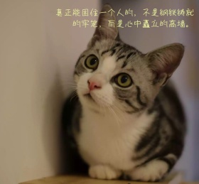 朋友圈背景