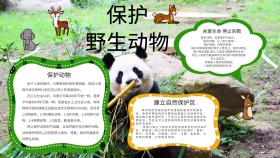 保护动物工艺宣传手抄报