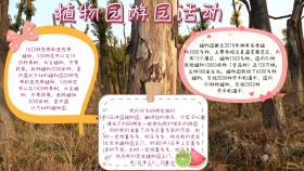 简约活动植物园游园小报
