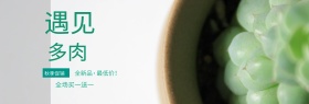 绿色清新手绘遇见多肉淘宝海报banner