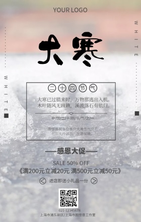 大寒节气冬天风格清新手机营销海报