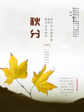 清新简约秋分节气海报