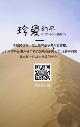 和平铭记历史文艺简约日签