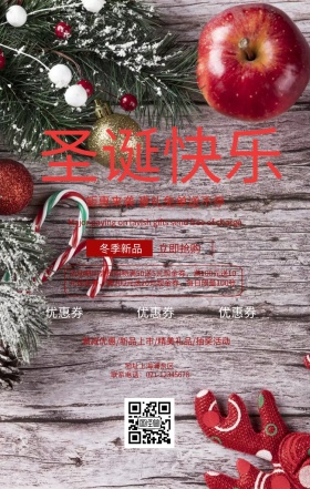 圣诞狂欢夜宣传促销海报