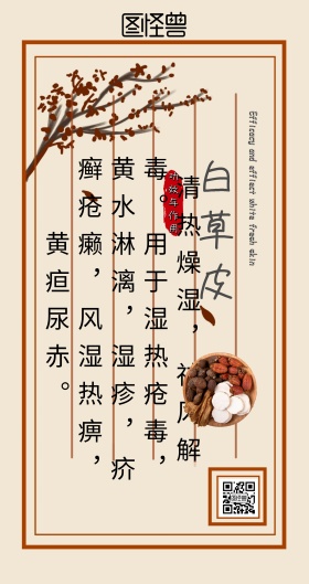 中药海报