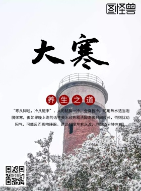 大寒节气宣传海报