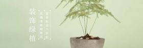 装饰绿植粉丝狂欢节banner图片