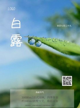 白露传统节气海报模板