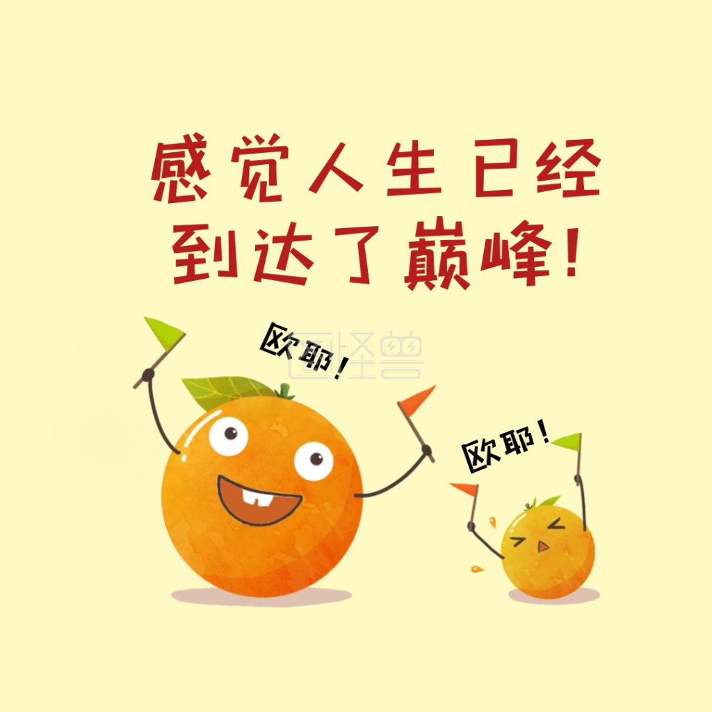 感觉人生到达了巅峰橙子黄色表情包