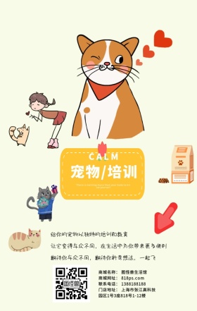 宠物培训
