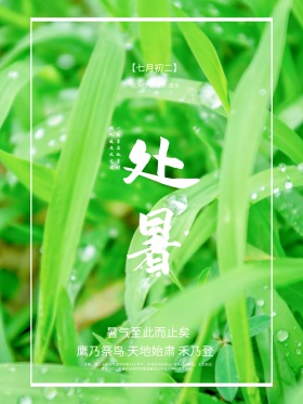 清新绿色二十四节气之处暑节气海报