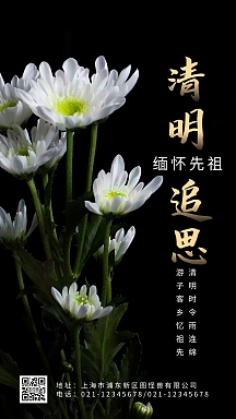 清明追思节日黑色简约摄影手机海报