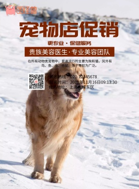 宠物海报