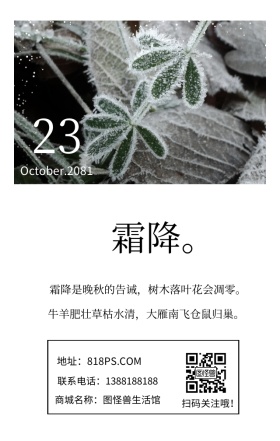 霜降季节节气绿色植物文艺简约日签