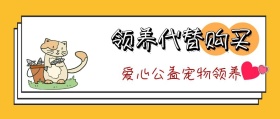 爱心公益宠物领养公众号封面