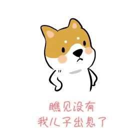 瞧见没有我儿子出息了表情包