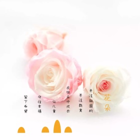 关注儿童教育公众号封面图模版