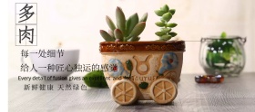 多肉健康节灰色简约淘宝banner