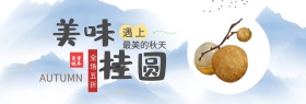 彩色小清新桂圆水果鲜果美食电商banner淘宝海报