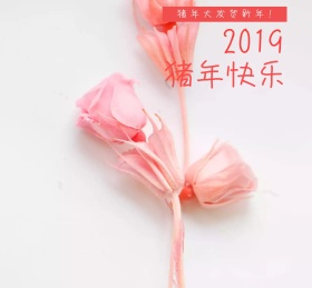 猪年快乐朋友圈封面
