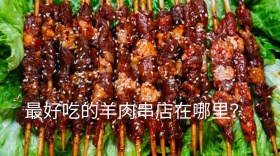 最好吃的烤羊肉串在哪里公众号封面