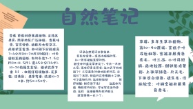 自然笔记手抄报卡通