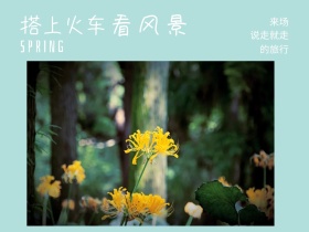 来场 看风景 的旅行 搭上火车 说走就走 SPRING 春天春季春游景色油菜花公众号配图