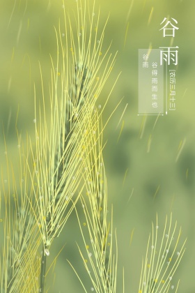 谷雨清新公众号配图