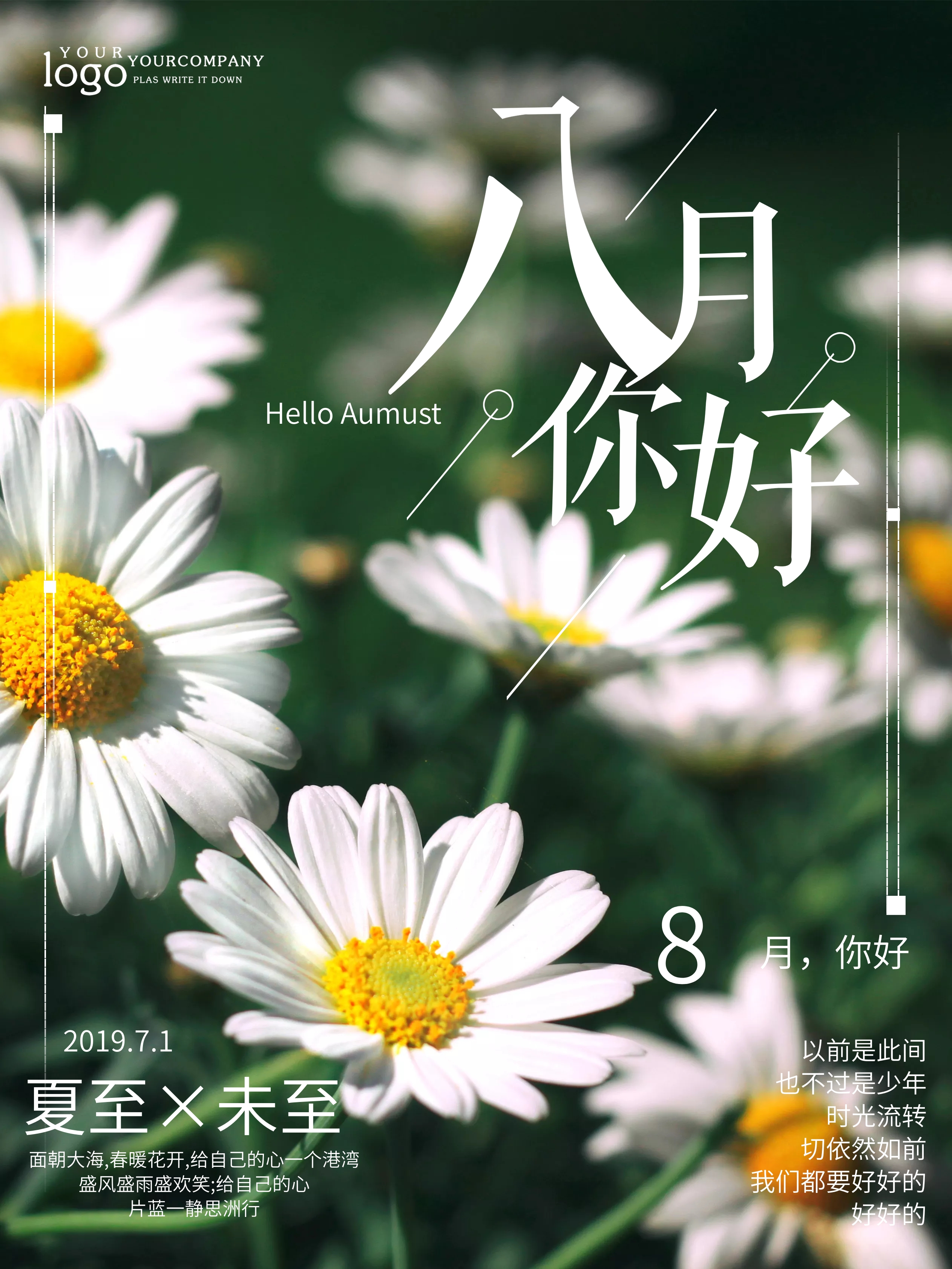 小雏菊