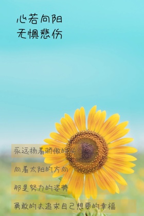 心情语录简约公众号封面图模版