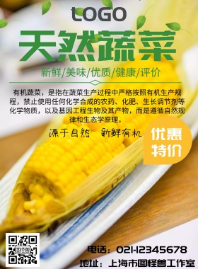 天然有机蔬菜海报