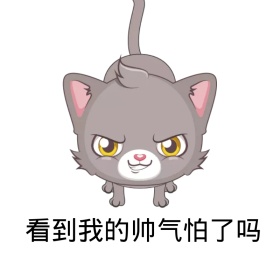 看到我的帅气怕了吗云彩虹搞笑表情