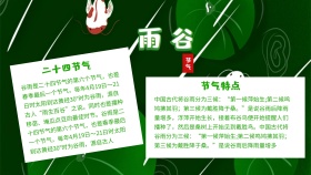 绿色清新传统节气谷雨手抄报